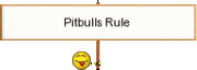 pits rule
